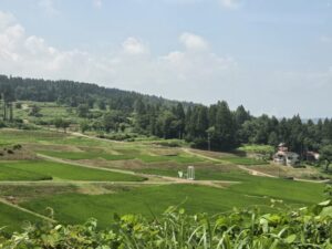 泉の棚田（棚田のきらめき）の景色