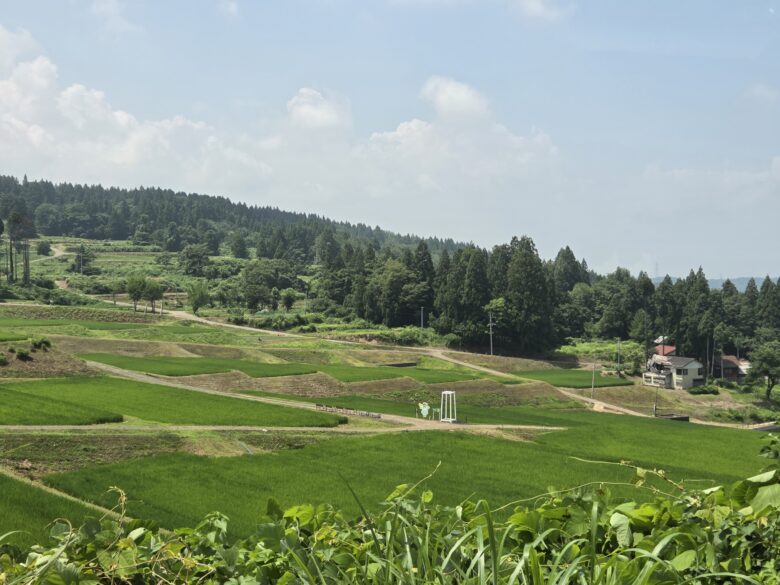 泉の棚田（棚田のきらめき）の景色