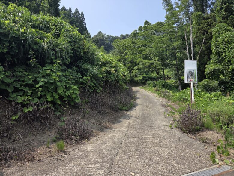 坊金の大杉に続く道