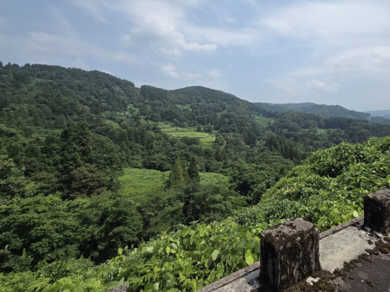 坊金の大杉の付近の景観