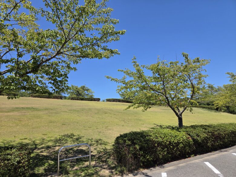 加賀フルーツランドの緑