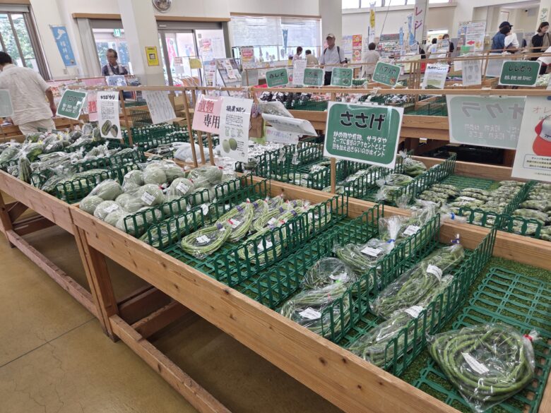 JA福井県 ファーマーズマーケットきららの丘の山菜たち