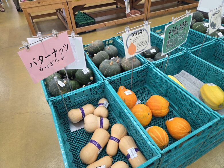 JA福井県 ファーマーズマーケットきららの丘のいろんなかぼちゃ